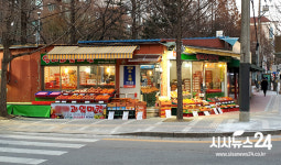 도로부지에 불법 상가 15년 넘게 돈벌이…천안시 ‘솜방망이’