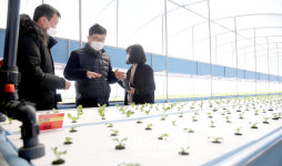 동천안농협, 협동농장(스마트팜) 시범사업장 구축 “마을 공동수익 창출”