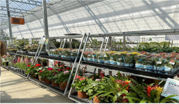 천안시산림조합 임산물유통센터 봄 나무시장 개장