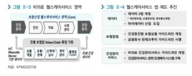 [마켓 이슈] 애매한 헬스케어서비스 제도... 보험업계 모호성 해소 필요