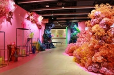 롯데百·롯데월드몰, MZ세대 겨냥한 공간 구성 및 전시회 진행