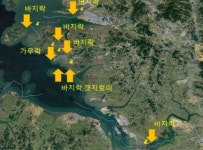 경기도 풍요로운 경기바다 만들기···· 갯지렁이 등 3품종 355만 마리 방류