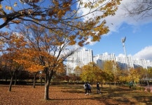 자연이 살아 숨쉬는 경기도 시흥시 옥구공원
