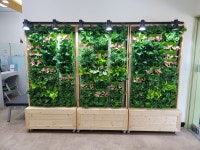 김포시 청년농업인이 생산한 농산물 직거래 장터 소소한농 플리마켓 개장