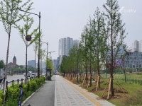 친환경 그린도시 천안, 도시 바람길 숲 조성