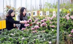 "좋은 묘목은 가까운 나무시장에서 찾아요"