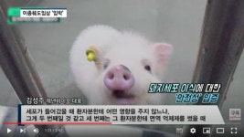 [비즈초대석]이종췌도 이식 도전 제넨바이오 김성주 대표 4월 10명 대상 임상 착수