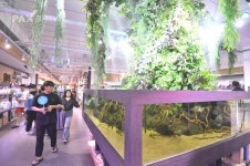 시흥시 아쿠아펫랜드, 관상어와 함께 즐거운 문화체험