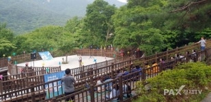 청도 운문산자연휴양림에서의 슬기로운 캠핑생활