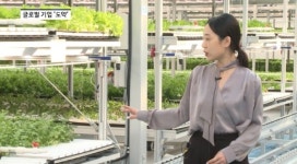 [영상] 식물이 저절로 움직이네...그린플러스, 축적된 기술로 스마트팜 선도