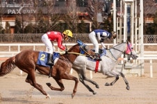 마사회, 삼관경주 전초전 나이스타임ㆍ원더풀리어 우승