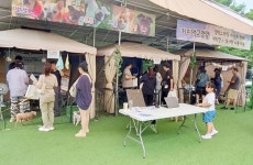 우리 반려친구들 애견카페에서 행복한 여름