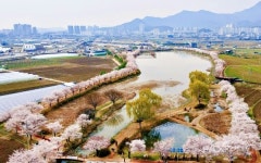산림청, 올해의 모범 도시숲 5곳 선정