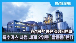 [이슈] 효성화학 품은 효성티앤씨...특수가스 사업 세계 2위로 발돋움