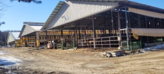 용인시, 축산농가 지원 120억 투입…안전한 축산물 생산 및 소득 증대