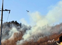 강원 원주시 교향리 산불 진화