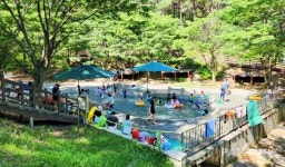 무더위 탈출 시원한 물놀이와 다채로운 체험 가득한 자연휴양림은 어디?