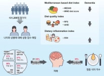 세브란스병원, 지중해·고품질 식단 치매 발생 위험 최대 28% 감소 규명