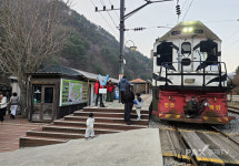 산림문화자산 투어의 새 모델, 숲속 힐링트레인 성공
