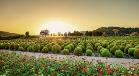 연천군, DMZ 생태관광 성과 인정…국무총리 표창 수상