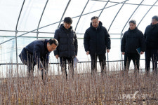 [포토] 김인호 산림청장, 양평 국유양묘장 점검