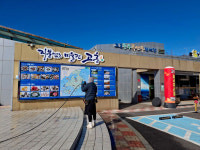 고흥군, 설맞이 고흥 만남의광장 곳곳 단장 - 환경 정비로 청정 고흥 이미지 제고