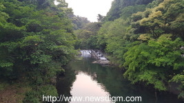 제주도 서귀포 천지연폭포로 저녁 산책 가볼까