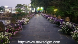 제주도 서귀포 천지연폭포로 저녁 산책 가볼까