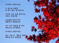 [사진 위로 흐르는 시] 단풍사랑