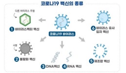 국내 개발 코로나19 백신 ‘유코백-19’ 1·2상 임상계획  승인