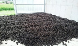 국립축산과학원, 가축분뇨 열분해 기술 개발 추진