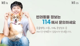 KT IS, 번호안내114에 반려동물 관련 번호DB 정비