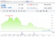 퍼스트비투비합자회사 | 비투엔, 경영권 분쟁 조짐···주가 흐름 불안정