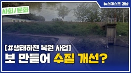 (R) 보 만들어 수질 개선?