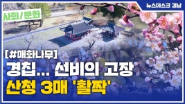 (R) 경칩... 선비의 고장 산청 3매 활짝
