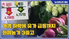 가격 하락에 유가 급등까지... 화훼농가 3중고