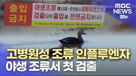 경남서 올 겨울 첫 고병원성 조류인플루엔자 검