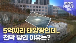 5억 원 들인 교육청 태양광 설비 빛 반사 피해