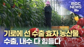 기로에 선 수출 효자 농산물