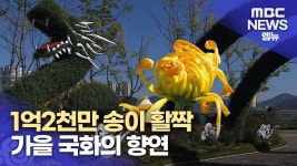 1억 2천만 송이, 국화의 향연