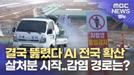 조류인플루엔자 확산..설 연휴 방역 비상