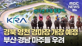부산*경남 경주마가 영천에서 경기를?..마주들 반발에 세수 감소도