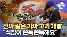 브라더푸드컴퍼니세븐스테이크 | "식감이 쫀득쫀득해요"... 세계 최초 스테이크 형태 배양육 개발