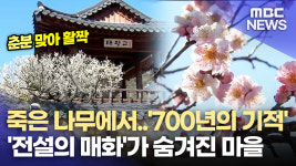 역사 향기 가득 ′남사 8매′