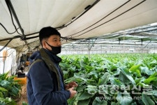 농식품부, 코로나19 피해농가 정책자금 지원 강화