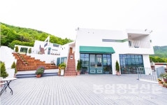 강화도 가볼만한 곳 멍때림 카페 힐링공간으로 인기에 기부까지 더해져