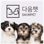 명절 직후 반려동물 유기 증가, 온라인 비대면 등록 서비스 다음펫
