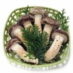 단양오투스페이스, 희귀산림버섯 원균센터 구축 추진