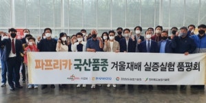 농우바이오 로망스골드 국산 종자 우수성 인정
