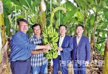 바나나 재배농가 현장행정 추진